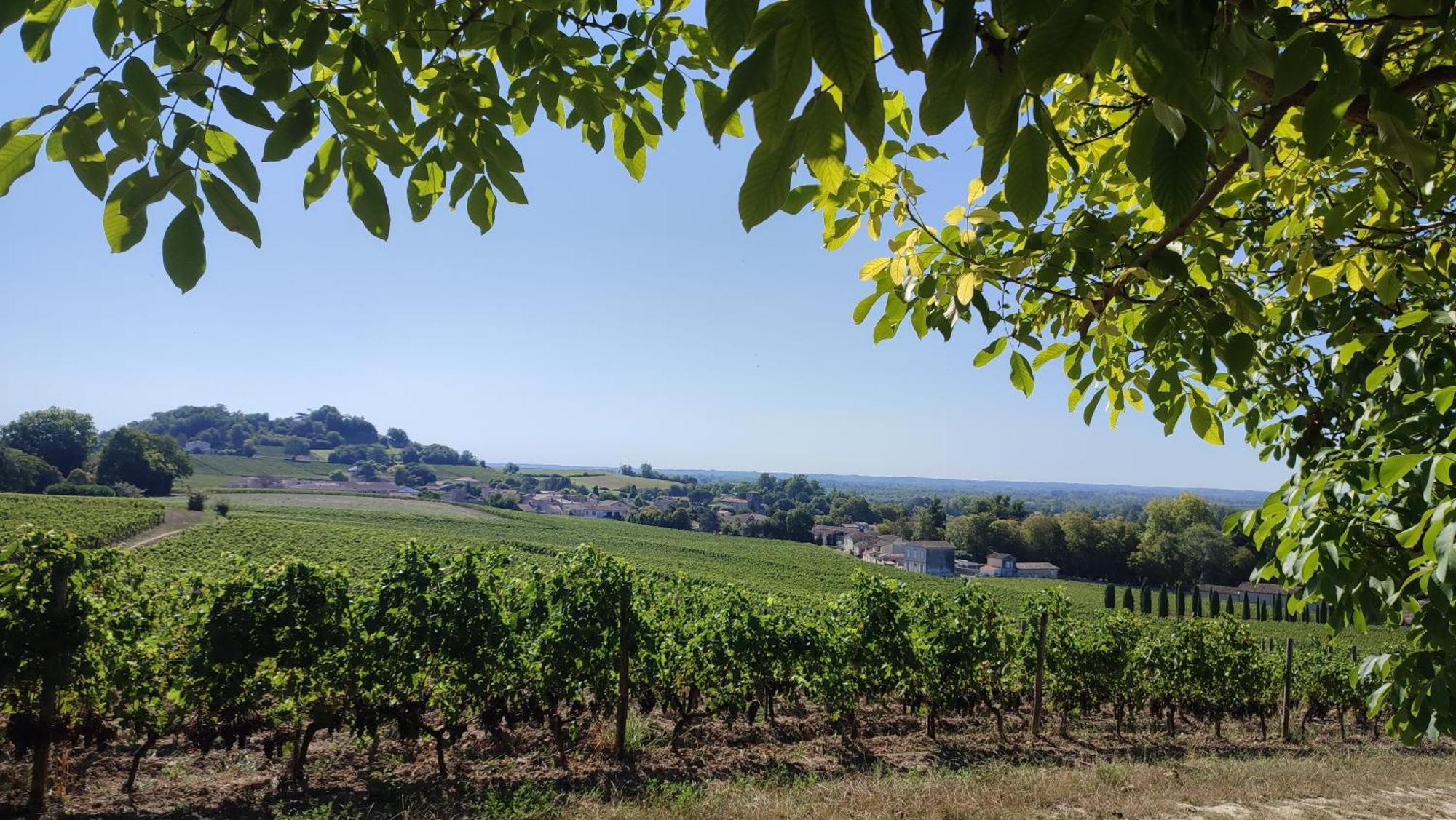 Maison Charmeilles - La Suite Saint Emilion Fronsac  Exteriér fotografie